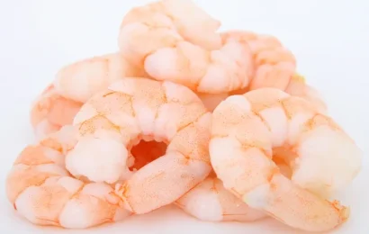 ¿Se viene el dólar langostino?: La curiosa propuesta del sector pesquero para Massa