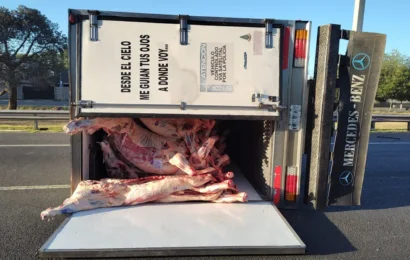 Camiones que transportaban carne volcaron en dos autopistas