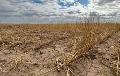 Rojas, entre los municipios más afectados por la sequía «severa»