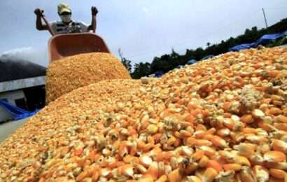 El Gobierno comenzó a pagar compensaciones a pequeños productores de soja y maíz