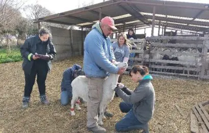 Más de 600 análisis en tambos ovinos y caprinos familiares de la provincia de Buenos Aires