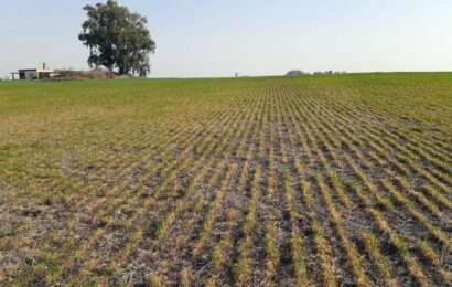 Sequía: el Gobierno bonaerense ratificó las medidas para mitigar las pérdidas en 67 municipios