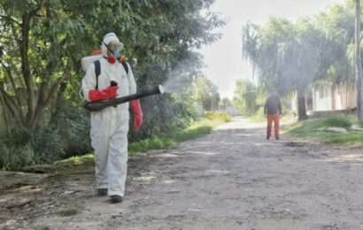 La provincia investiga un posible brote de chikungunya: hay tres casos autóctonos