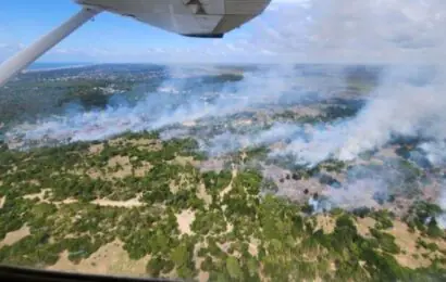Villa Gesell: un incendio forestal genera inconvenientes en la ruta 11