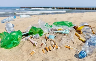 Más del 70% de los residuos en playas bonaerenses son plásticos