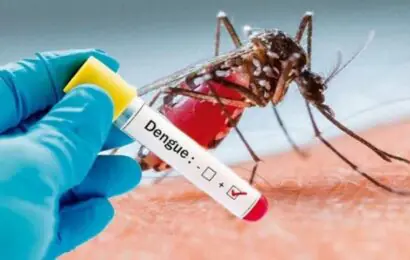 Dengue: se detectó un nuevo caso de dengue en Junín