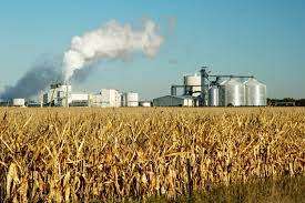 Provincia: Avanza proyecto de Ley que busca promover la producción de los biocombustibles