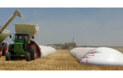 Campo: proyectan mayor producción de granos