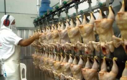 La industria avícola argentina celebró las gestiones del Gobierno
