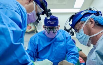 Un riñón de cerdo fue trasplantado a un humano y funciona luego de 32 días