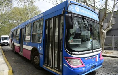 La Provincia garantizará el transporte público gratuito