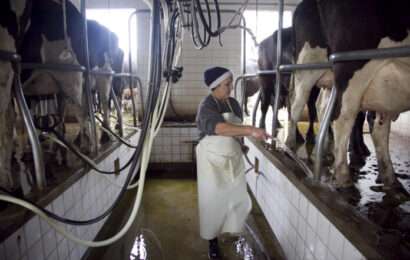 El Gobierno oficializó la suspensión de las retenciones a los lácteos