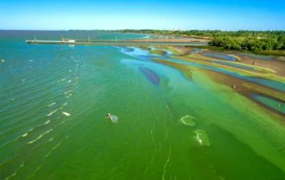 Alerta roja por cianobacterias en lagunas bonaerenses
