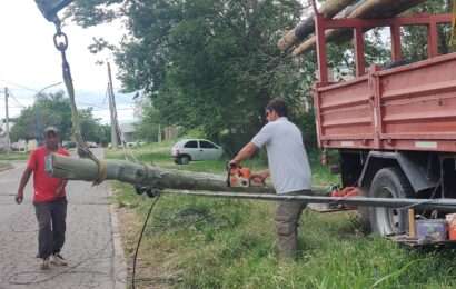 Postes caidos, intervino Defensa Civil