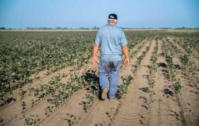 Kicillof declaró estado de emergencia agropecuaria