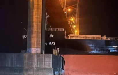 Barco cerealero impactó contra el puente Zárate-Brazo Largo