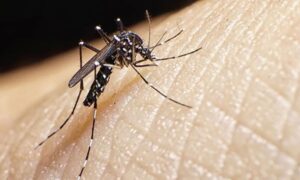 Pergamino: Se confirma paciente con Dengue.