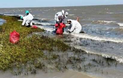 Denunciarán a empresa tras derrame de petróleo en la ría de Bahía Blanca
