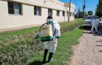 Nuevas acciones para controlar la proliferación de mosquitos.