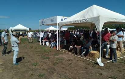 Más de mil personas visitaron la muestra A Campo Abierto