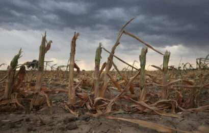 El INTA advirtió sobre un probable regreso de La Niña en el segundo semestre