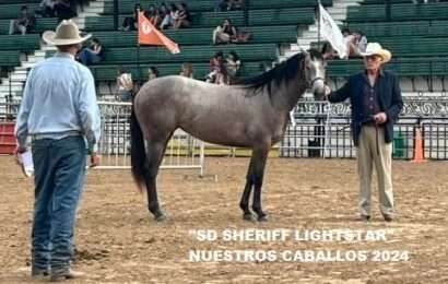 Caballos del Haras El Ancla brillaron en Palermo