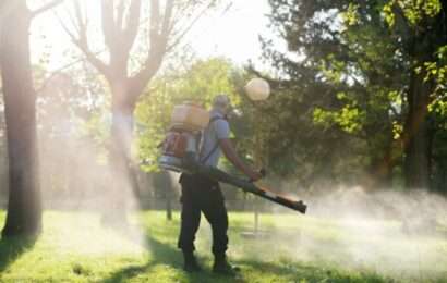 Los casos de dengue aumentaron casi un 20.000% en un año