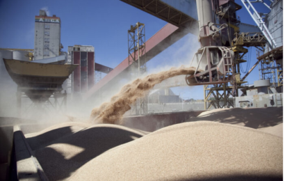Las exportaciones de harina de soja se recuperan
