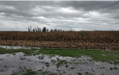 Bragado se suma al pedido de emergencia agropecuaria por el temporal