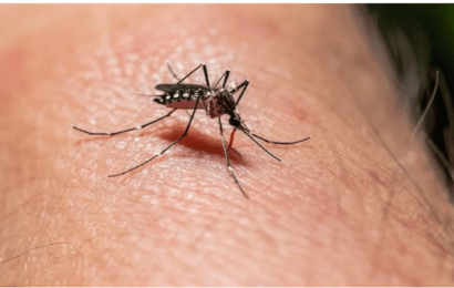 Continúa el dengue: más de 78 mil casos positivos en la provincia de Buenos Aires