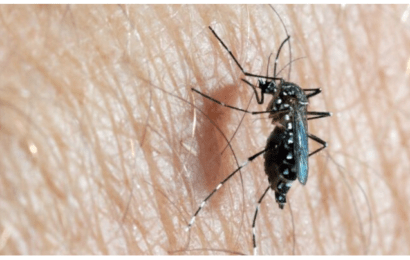 Se incorpora la vacuna contra el dengue