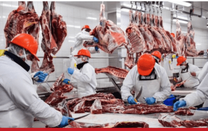 Salvo con Chima, se derrumbaron las ventas de carne al exterior