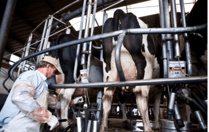 Advierten que la producción de leche es la más baja de los últimos cinco años