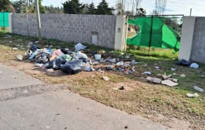 Cantidades de bolsas de basuras desparramadas en barrio COVENDIAR