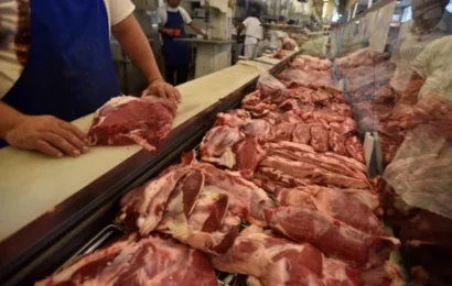 El consumo de carne vacuna se desplomó a niveles que no se veían hace 30 años