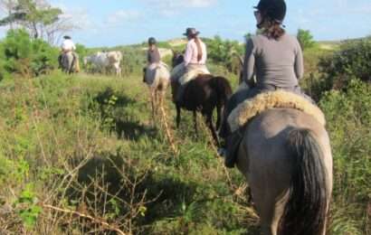 Legislatura bonaerense: Vaccarezza impulsa una ley para promover el turismo rural