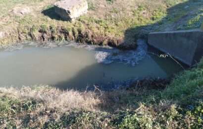 Vecinos molestos por olores nauseabundos en Ruta 188 y Helguera