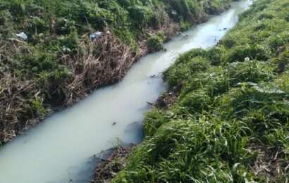 Continúan las quejas por olores nauseabundos en 188 y Helguera