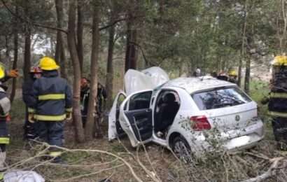 Una mujer murió cuando un auto despistó en la ruta 29 y embistió unos árboles