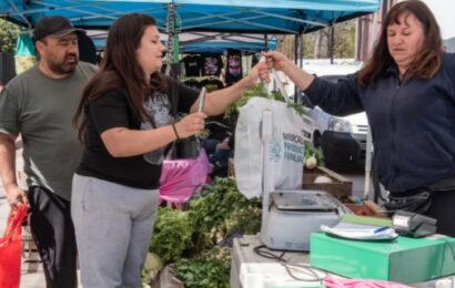 Mercado de Productores Familiares: dónde comprar carne, verduras y lácteos a precios populares en la Provincia