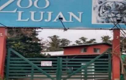 Ordenan reabrir la causa contra el Zoológico de Luján por maltrato animal: