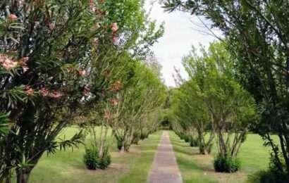 Profanaron el ataúd de Carlos Troilo en el Cementerio Parque