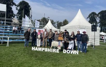 Animal comprado en El Harem fue premiado en la Expo Prado 2024