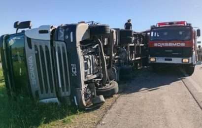 Saqueo de ganado tras el vuelco de un camión en la Autopista Ruta 8 y Ruta Provincial N° 32