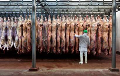 Carne vacuna: las exportaciones alcanzaron la cifra más alta de los últimos 57 años