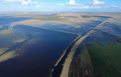 En alerta: más de la mitad de la provincia de Buenos Aires sufre excesos hídricos