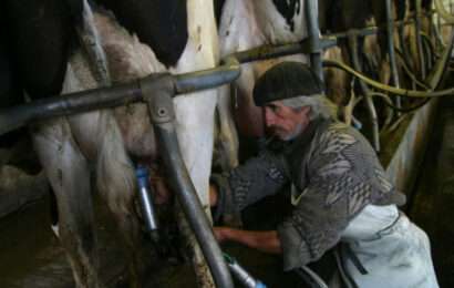 La leche, cada vez en menos manos