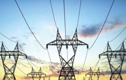 El Gobierno prorrogó la emergencia energética y continuará la intervención de los entes reguladores