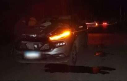La Plata: camioneta atropelló y mató a dos personas que arrastraban un carro