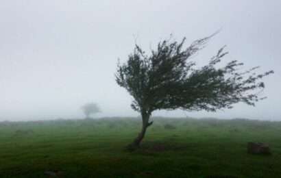 La semana arrancó con mucho frío y alertas por viento para gran parte de la provincia